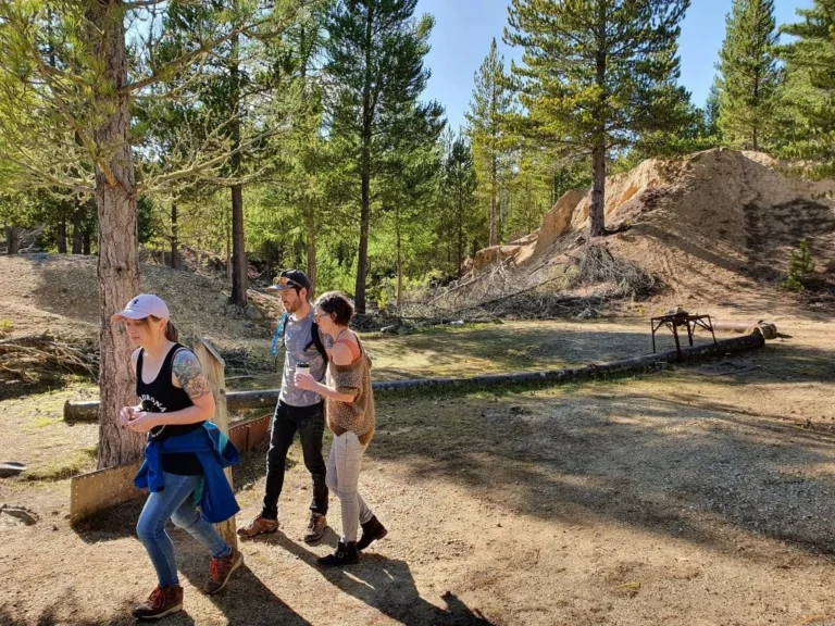 Family walking in Naseby forest